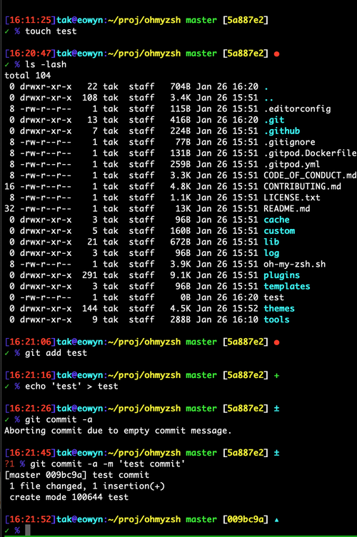 zsh git status