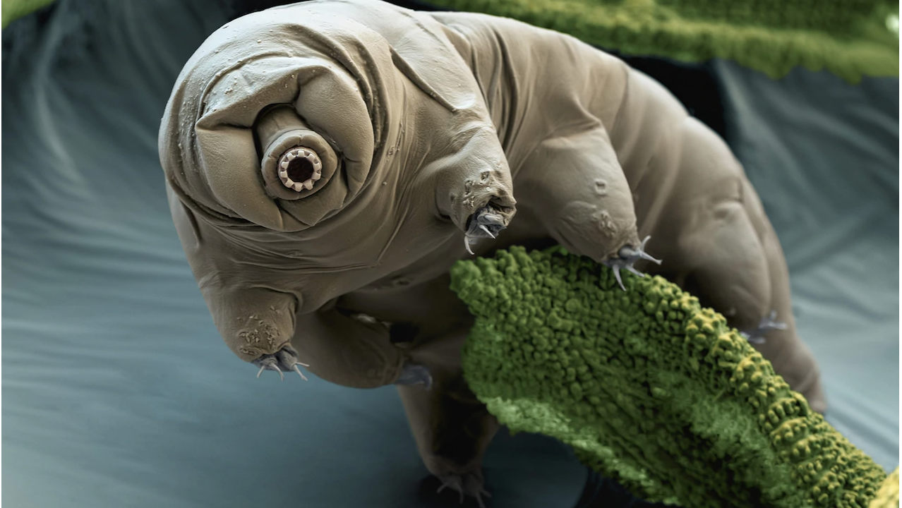 Screenshot 2021-05-21 at 19.52.39.png